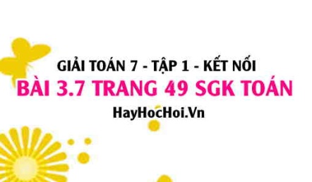 Giải bài 3.7 trang 49 Toán 7 Tập 1 SGK Kết nối tri thức